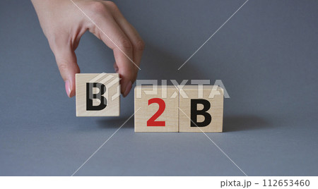 B2B, business to business marketing symbol. Concept word B2B on wooden blocks. Beautiful grey background. Businessman hand. Business and B2B concept. Copy space 112653460