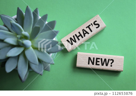 What is new symbol. Concept word What is new on wooden blocks. Beautiful green background with succulent plant. Business and What is new concept. Copy space What is new symbol. Concept word What is new on wooden blocks. Beautiful green background with succulent plant. Business and What is new concept. Copy space 112653876