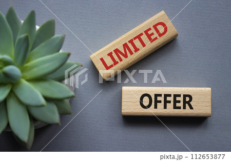 Limited Offer symbol. Concept word Limited Offer on wooden blocks. Beautiful grey background with succulent plant. Business and Limited Offer concept. Copy space 112653877