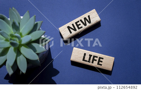 New life symbol. Wooden blocks with words New life. Beautiful deep blue background with succulent plant. Business and New life concept. Copy space. 112654892