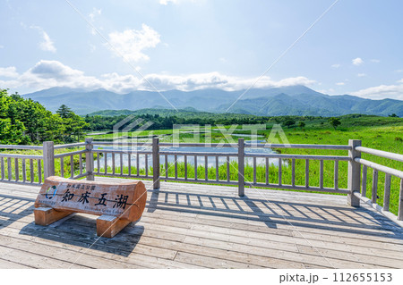 北海道斜里町　世界自然遺産知床の夏の風景（知床五湖の一つ一湖と周辺の景色） 112655153