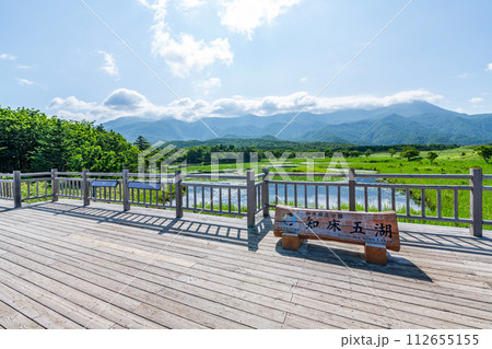 北海道斜里町 世界自然遺産知床の夏の風景(知床五湖の一つ一湖と周辺の景色) 北海道斜里町 世界自然遺産知床の夏の風景(知床五湖の一つ一湖と周辺の景色) 112655155