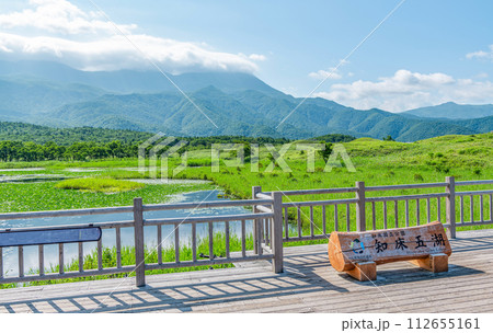 北海道斜里町 世界自然遺産知床の夏の風景(知床五湖の一つ一湖と周辺の景色) 北海道斜里町 世界自然遺産知床の夏の風景(知床五湖の一つ一湖と周辺の景色) 112655161