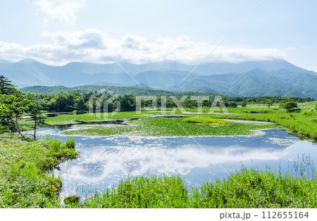 北海道斜里町 世界自然遺産知床の夏の風景(知床五湖の一つ一湖と周辺の景色) 北海道斜里町 世界自然遺産知床の夏の風景(知床五湖の一つ一湖と周辺の景色) 112655164