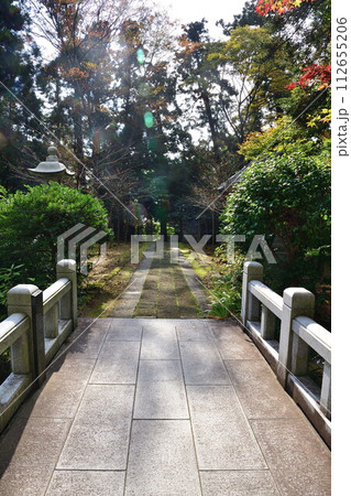 国上寺　紅葉（新潟県） 112655206