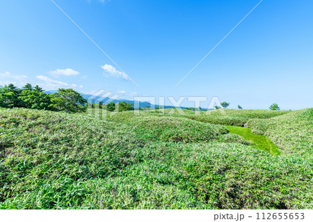 北海道斜里町　緑が美しい夏の知床国立公園の風景 112655653