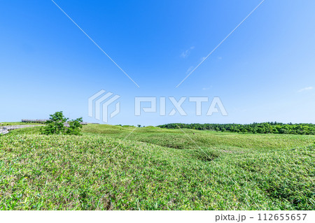 北海道斜里町　緑が美しい夏の知床国立公園の景色 112655657