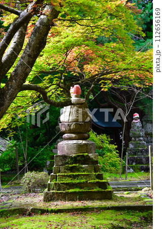 国上寺 紅葉(新潟県) 国上寺 紅葉(新潟県) 112656169