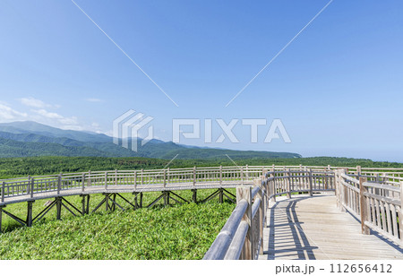 北海道斜里町　夏の知床国立公園の風景と高架木道 112656412