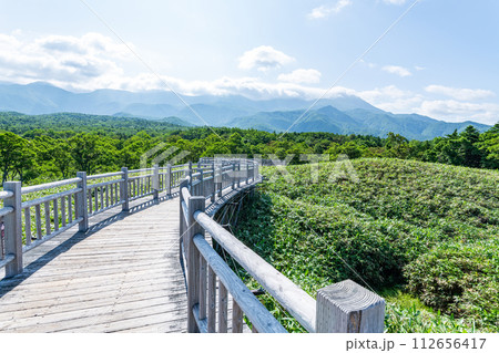 北海道斜里町　夏の知床国立公園の風景と高架木道 112656417