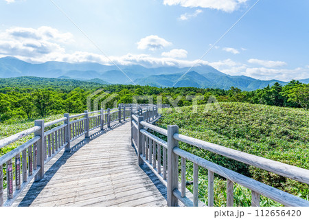 北海道斜里町　夏の知床国立公園の風景と高架木道 112656420