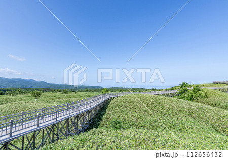 北海道斜里町　夏の知床国立公園の風景と高架木道 112656432
