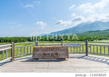 北海道斜里町　世界自然遺産　知床国立公園の夏の風景 112656620