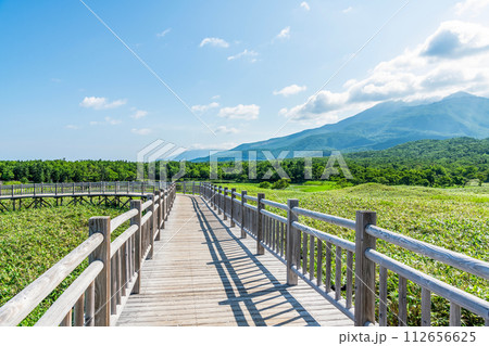 北海道斜里町　夏の知床国立公園の風景と高架木道 112656625