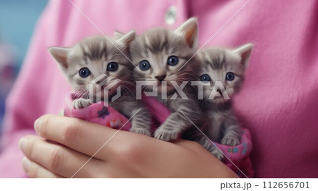 Tiny Treasures, Woman in Pink Lovingly Holding Small and Cute Kittens in Her Hand, Generative AI 112656701