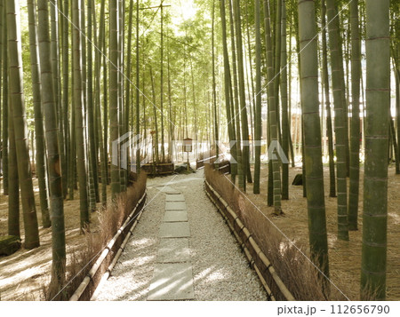 報国寺　竹の庭 112656790