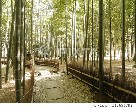 報国寺　竹の庭 112656792