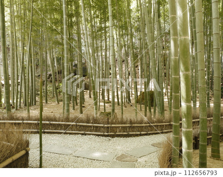 報国寺　竹の庭 112656793