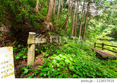 鬼の岩屋への山道の入口 鬼の岩屋への山道の入口 112657018