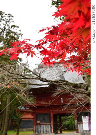 紅葉の乙宝寺（新潟県）	 112657300