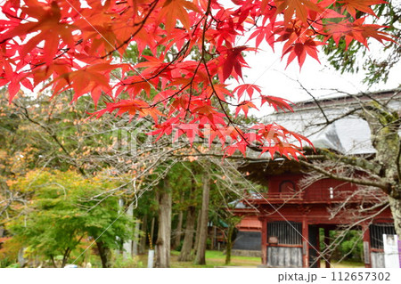 紅葉の乙宝寺（新潟県）	 112657302