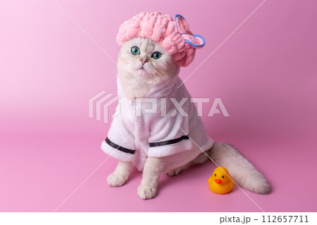 Cute white cat in pink shower cap in a white bathrobe, on a pink background 112657711
