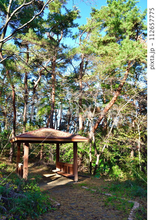 秋のじゅんさい池公園（新潟県）	 112657775