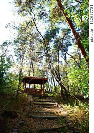 秋のじゅんさい池公園（新潟県）	 112657781