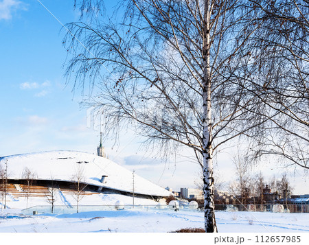 bare birch tree in snow-covered city public park 112657985