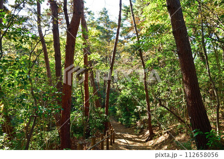 紅葉のじゅんさい池公園(新潟県) 紅葉のじゅんさい池公園(新潟県) 112658056