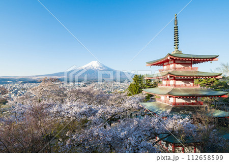 「山梨県」新倉山浅間公園から望む満開の桜と富士山　春 112658599