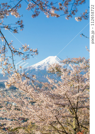 「山梨県」新倉山浅間公園から眺める春の富士山 112658722