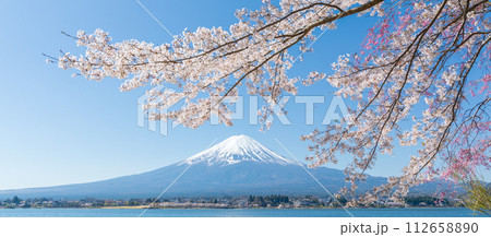 「山梨県」河口湖畔から眺める富士山と満開の桜 「山梨県」河口湖畔から眺める富士山と満開の桜 112658890