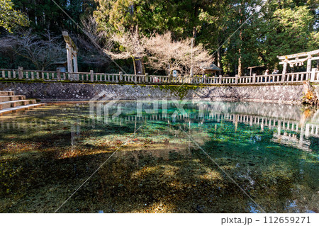 別府弁天池 別府弁天池 112659271