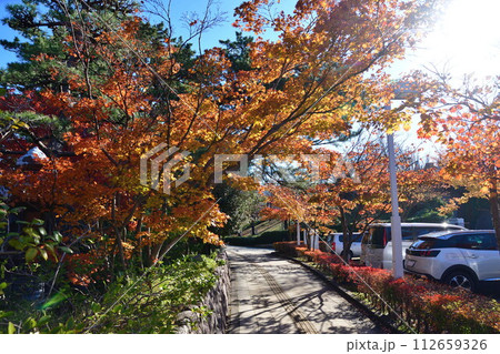 白山神社の紅葉(新潟県) 白山神社の紅葉(新潟県) 112659326