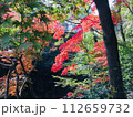 紅葉に包まれた秋の風景 112659732