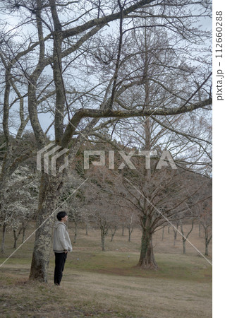 桜の下で散歩する青年 112660288