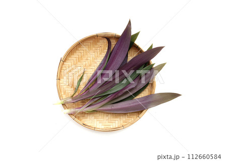 Boat lily, Moses-In-The-Boat , Rheo, Oyster plant. 112660584