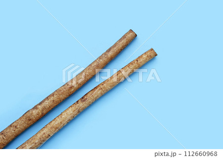 Burdock Root (Gobo) on blue background. 112660968