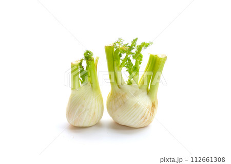 Fresh fennel bulb on white background 112661308