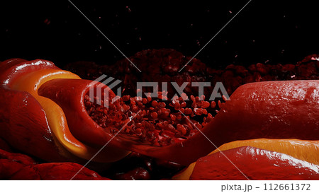 blood stream. red blood cells. Inside human body. 3d rendering. 112661372