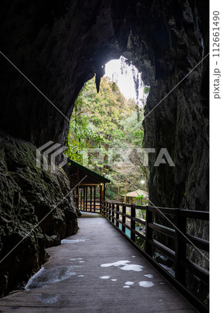 秋芳洞の中から見た光 秋芳洞の中から見た光 112661490