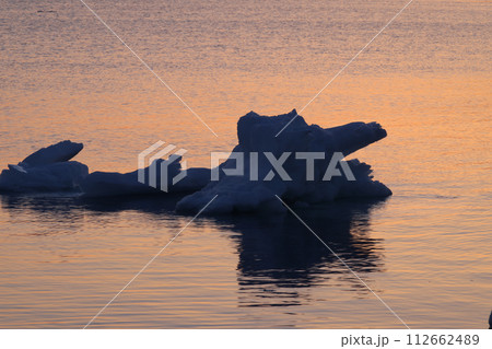 流浪 流浪 112662489