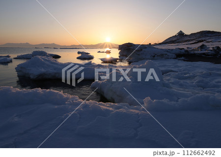 北浜に春がくる 112662492