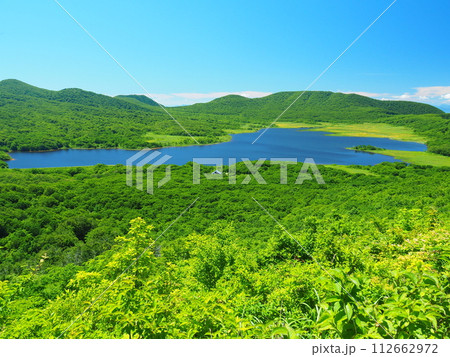 雄国山から望む夏の雄国沼 雄国山から望む夏の雄国沼 112662972