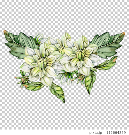 Watercolor white dahlia composition. Hand drawn illustration or a summer garden. Design for baby shower party, birthday, cake, holiday celebration design, greetings card,invitation. 112664239