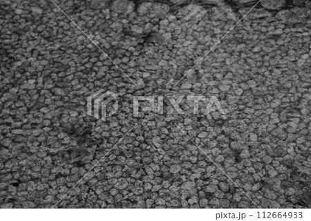 モノクロ 川岸 水 水面 水辺 (2024年3月登録) モノクロ 川岸 水 水面 水辺 (2024年3月登録) 112664933
