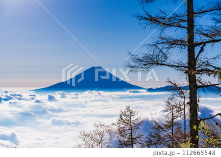 (山梨県)櫛形山の登山道から望む、大雲海に浮かぶ富士山 (山梨県)櫛形山の登山道から望む、大雲海に浮かぶ富士山 112665548