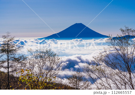 （山梨県）櫛形山の登山道から望む、大雲海に浮かぶ富士山  112665557
