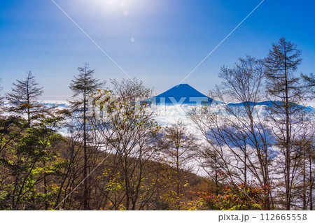 (山梨県)櫛形山の登山道から望む、大雲海に浮かぶ富士山  (山梨県)櫛形山の登山道から望む、大雲海に浮かぶ富士山  112665558
